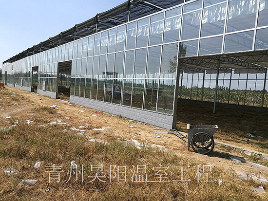 鄭州中牟黃店鎮玻璃溫室